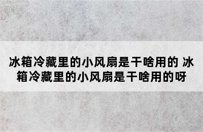 冰箱冷藏里的小风扇是干啥用的 冰箱冷藏里的小风扇是干啥用的呀